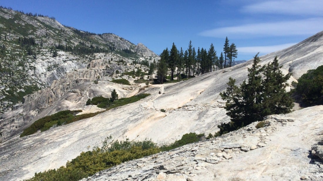 The ever changing trail views