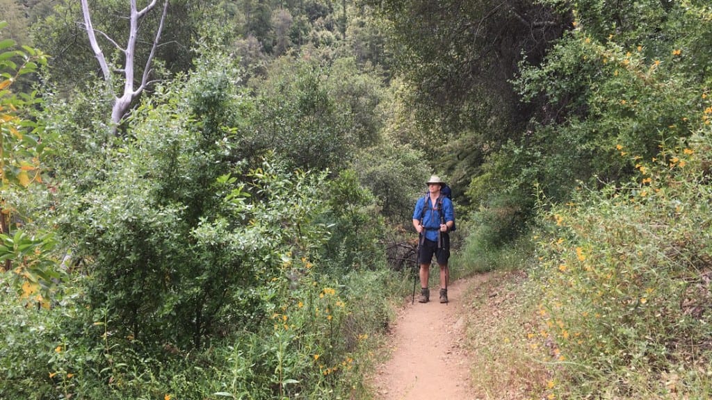 Sykes Hot Springs: Backpacking Pine Ridge Trail to Big Sur Hot Springs