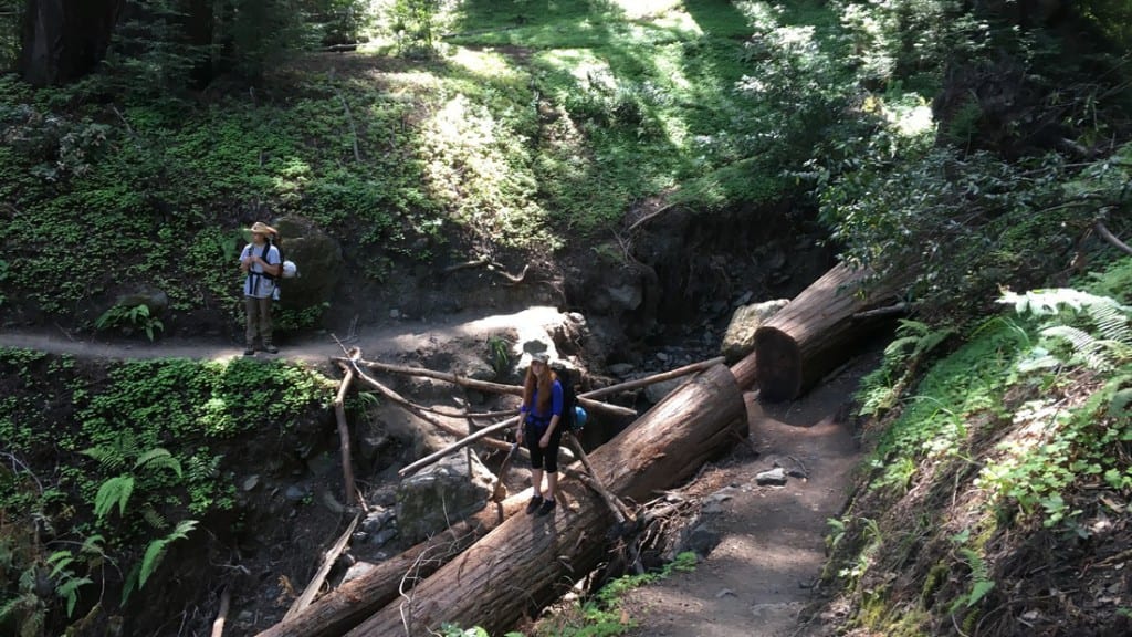 Sykes Hot Springs: Backpacking Pine Ridge Trail to Big Sur Hot Springs