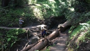 Sykes Hot Springs