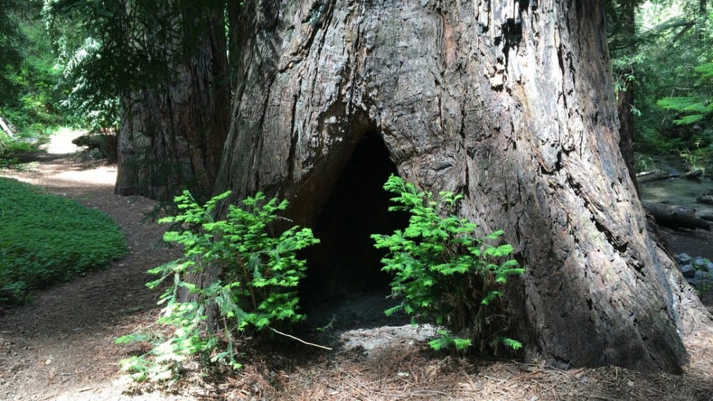 Sykes Hot Springs: Backpacking Pine Ridge Trail to Big Sur Hot Springs