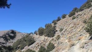 Telescope Peak