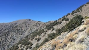 Telescope Peak