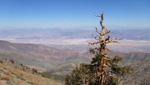 Telescope Peak