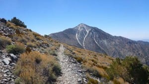 Telescope Peak