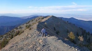 Telescope Peak