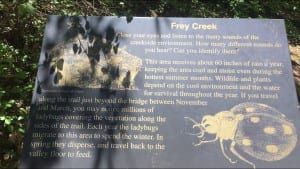 Feather Falls Frey Creek Ladybug Sign May 2017 Barebackpacking